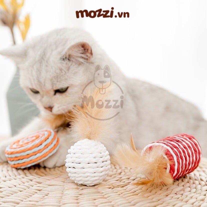 Hộp Đồ chơi 8 món cho mèo