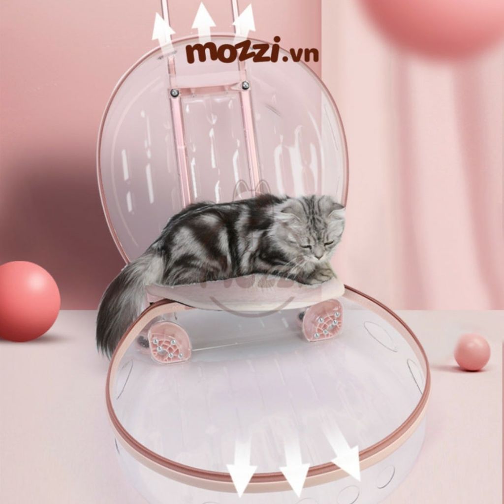 Vali kéo đựng chó mèo trong suốt lớn hình oval