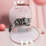  Vali kéo đựng chó mèo trong suốt lớn hình oval 
