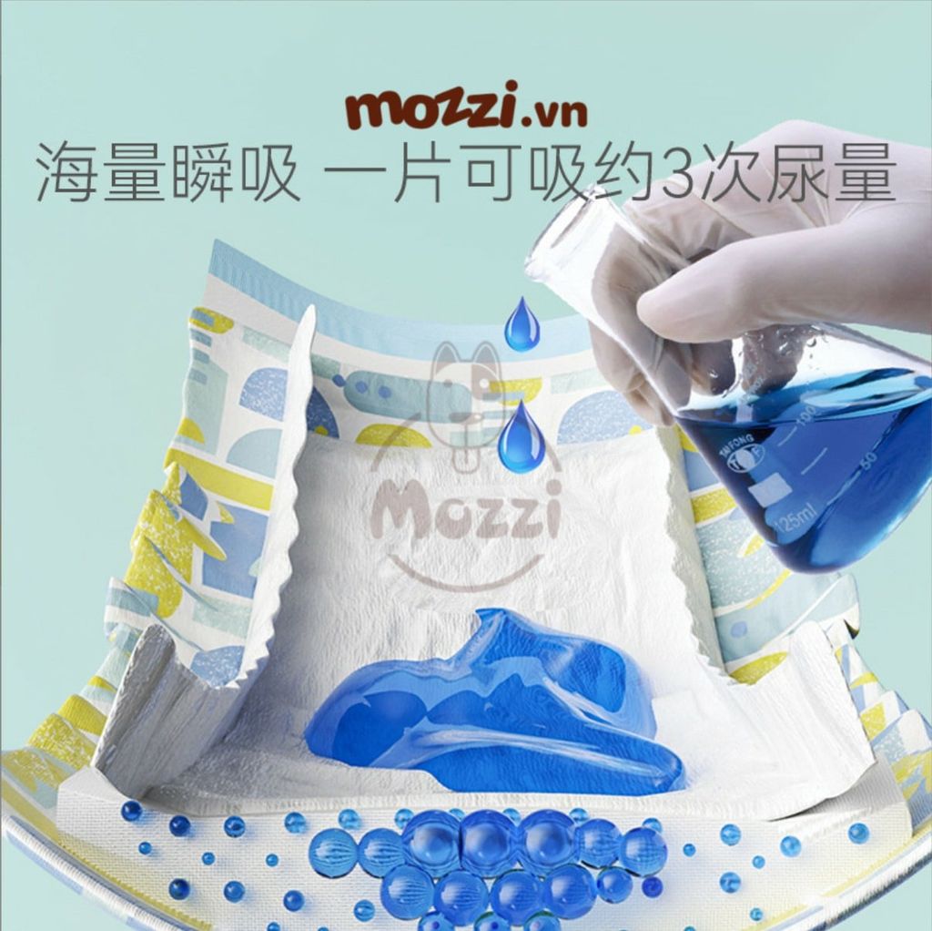 Hipi Tã quần cho chó cái 12 miếng