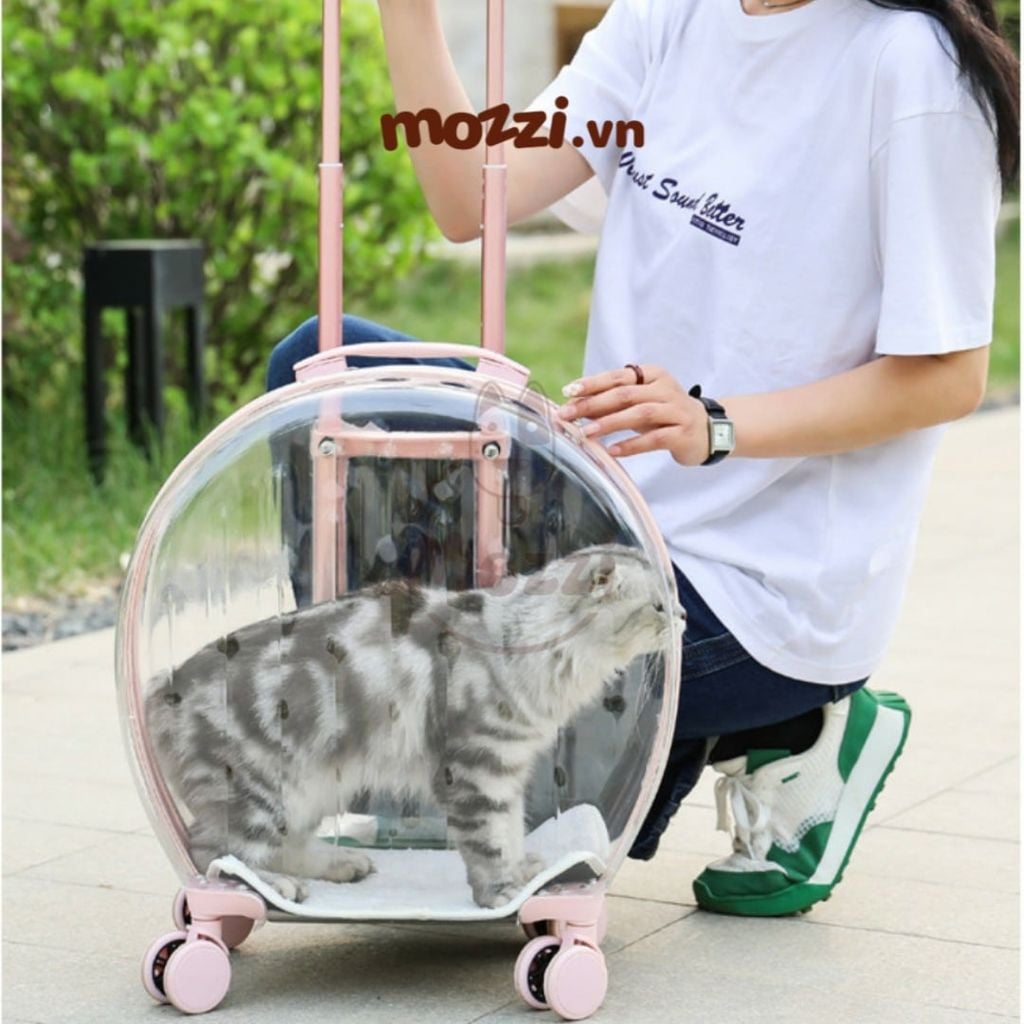 Vali kéo đựng chó mèo trong suốt lớn hình oval