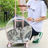  Vali kéo đựng chó mèo trong suốt lớn hình oval 