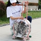  Vali kéo đựng chó mèo trong suốt lớn hình oval 