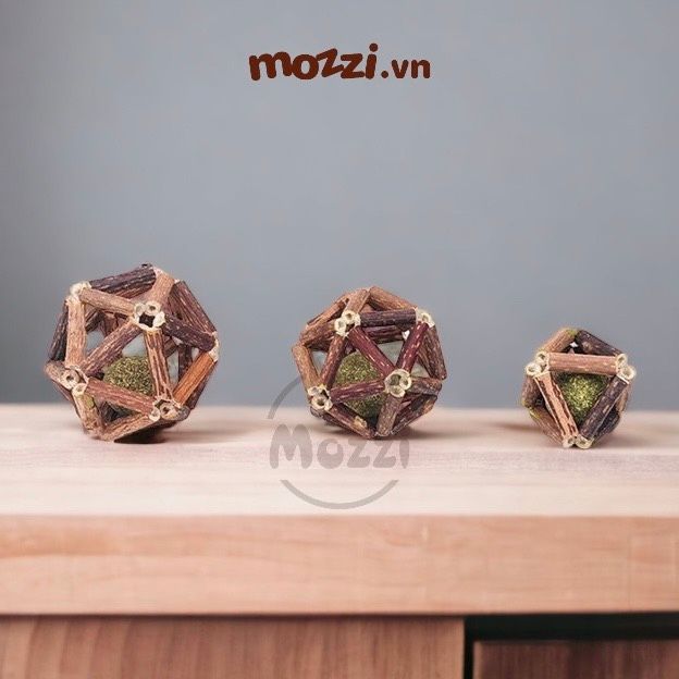 Catnip dạng viên hình đa giác gỗ cho mèo