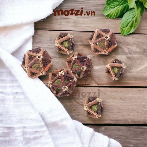  Catnip dạng viên hình đa giác gỗ cho mèo 