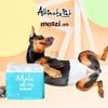 Tã bỉm cho chó Đực Male Wrap Diaper Altimate Pet của Mỹ