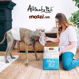  Tã bỉm cho chó Đực Male Wrap Diaper Altimate Pet của Mỹ 