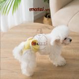  Tã bỉm quần vải dán Hipidog cho chó Cái 