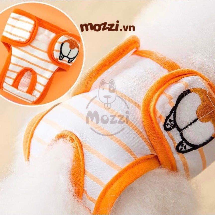 Tã bỉm quần vải dán Hipidog cho chó Cái