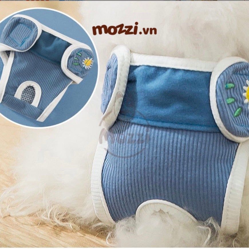 Tã bỉm quần vải dán Hipidog cho chó Cái