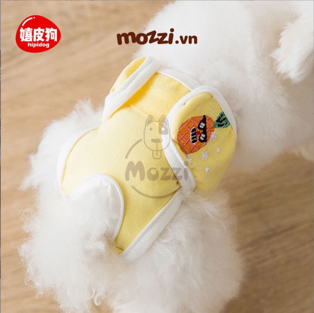 Tã bỉm quần vải dán Hipidog cho chó Cái