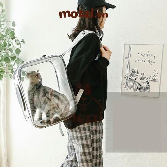 Balo Túi đựng chó mèo Phi hành gia vuông trong suốt lớn 34x30x40cm - Ba lô