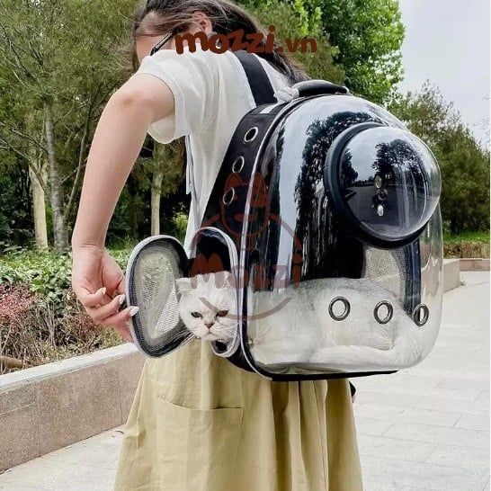 Balo Túi đựng chó mèo Phi hành gia trong suốt có nắp kính 32x41cm - Ba lô