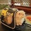 Balo Túi đựng chó mèo MOEH 40x26x26cm