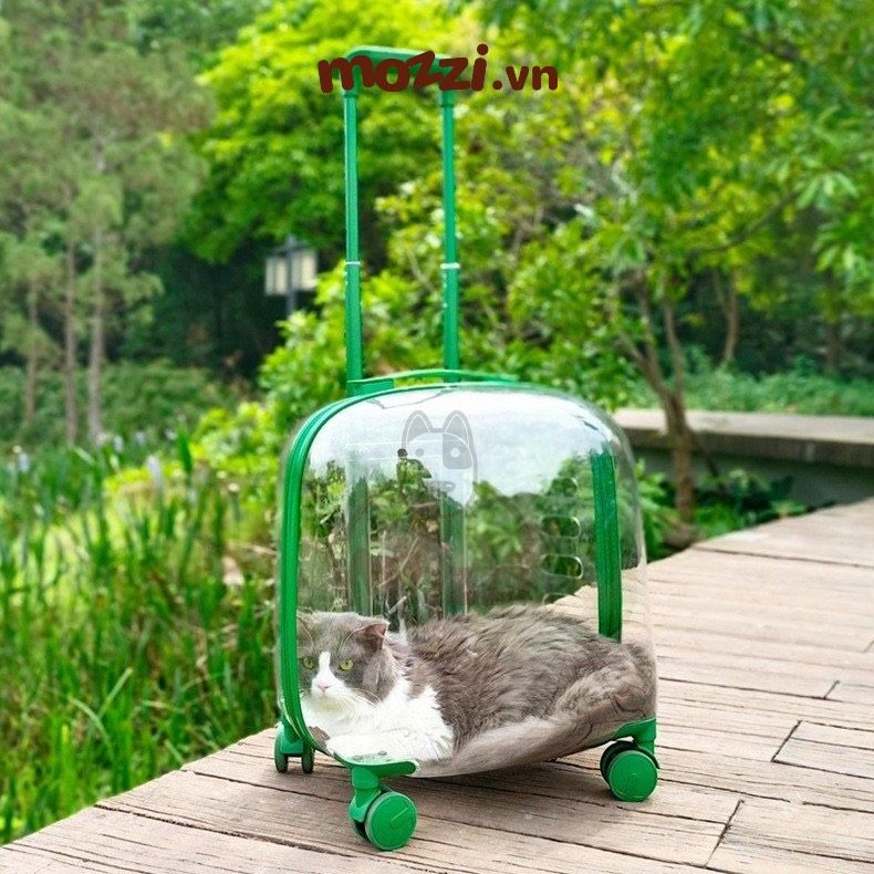 Vali kéo đựng chó mèo trong suốt lớn hình chữ nhật 45x33x46cm