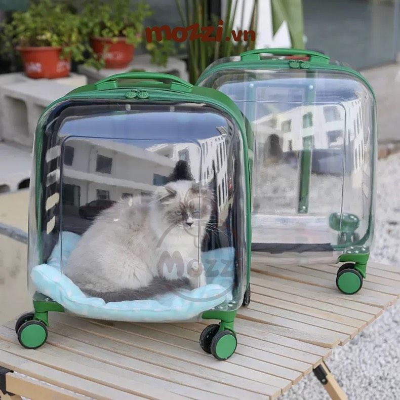 Vali kéo đựng chó mèo trong suốt lớn hình chữ nhật 45x33x46cm