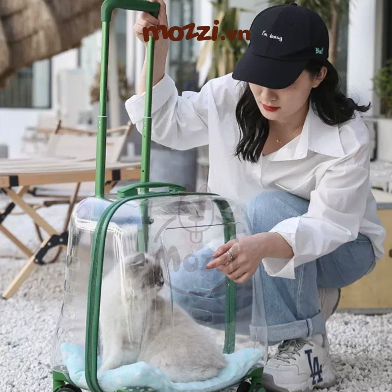 Vali kéo đựng chó mèo trong suốt lớn hình chữ nhật 45x33x46cm