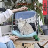  Vali kéo đựng chó mèo trong suốt lớn hình chữ nhật 45x33x46cm 