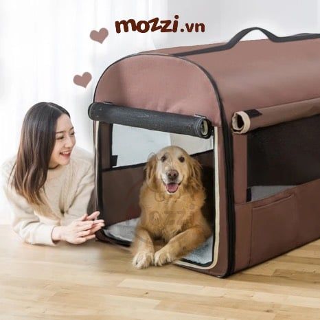Túi xách cỡ lớn để xe hơi cho chó mèo
