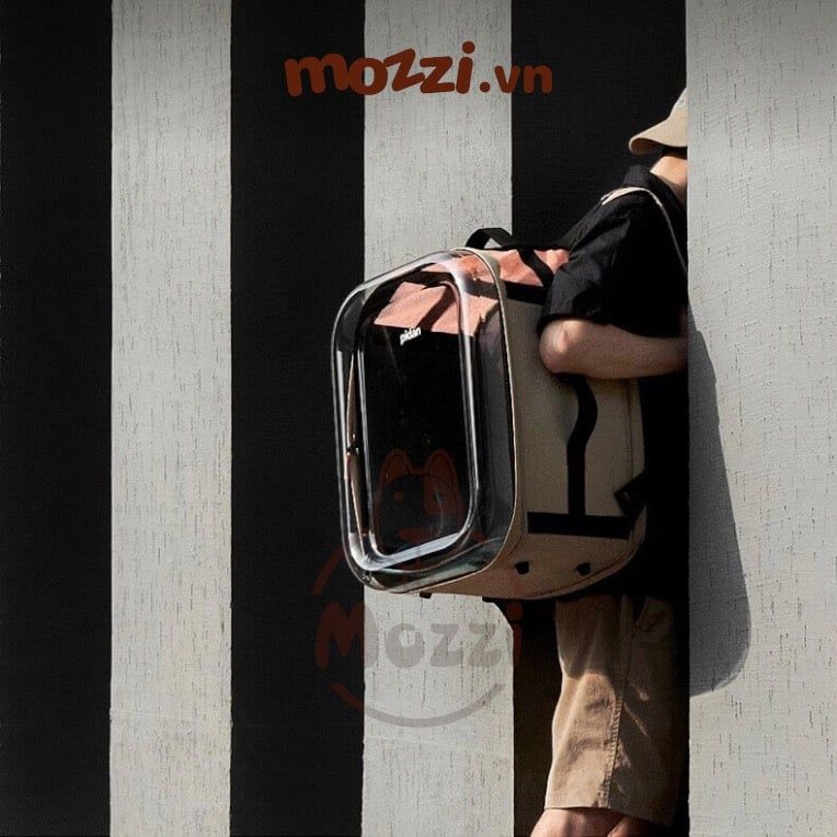 Balo Túi đựng chó mèo Pidan cao cấp cỡ lớn 41x38x53cm - Ba lô