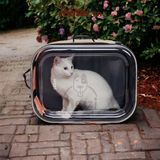  Balo Túi đựng chó mèo Pidan cao cấp cỡ lớn 41x38x53cm - Ba lô 