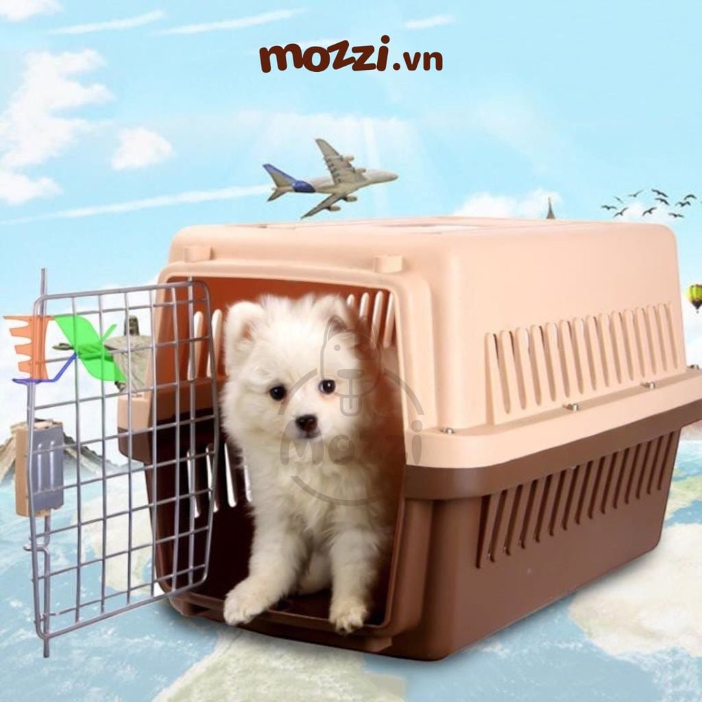 Hoopet Lồng vận chuyển hàng không cho chó mèo