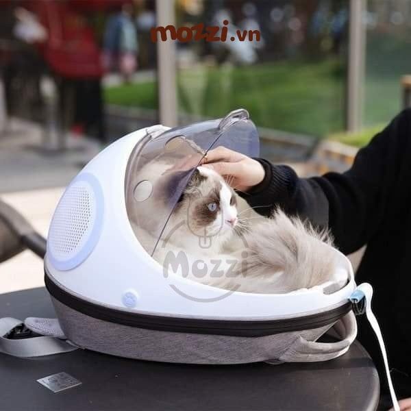 Ba lô kèm Ổ nệm hình con bọ cho chó mèo 37x29x46cm
