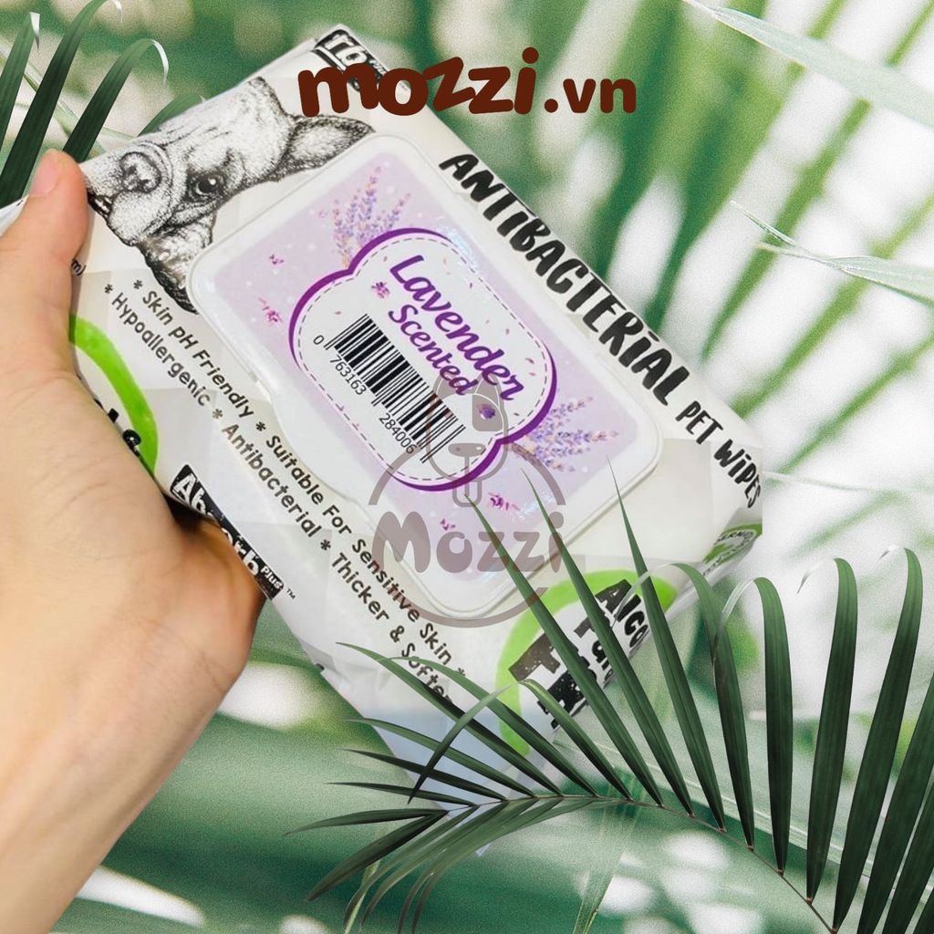 Khăn ướt cho chó mèo Kháng khuẩn trắng Absorb Antibacterial Absolute