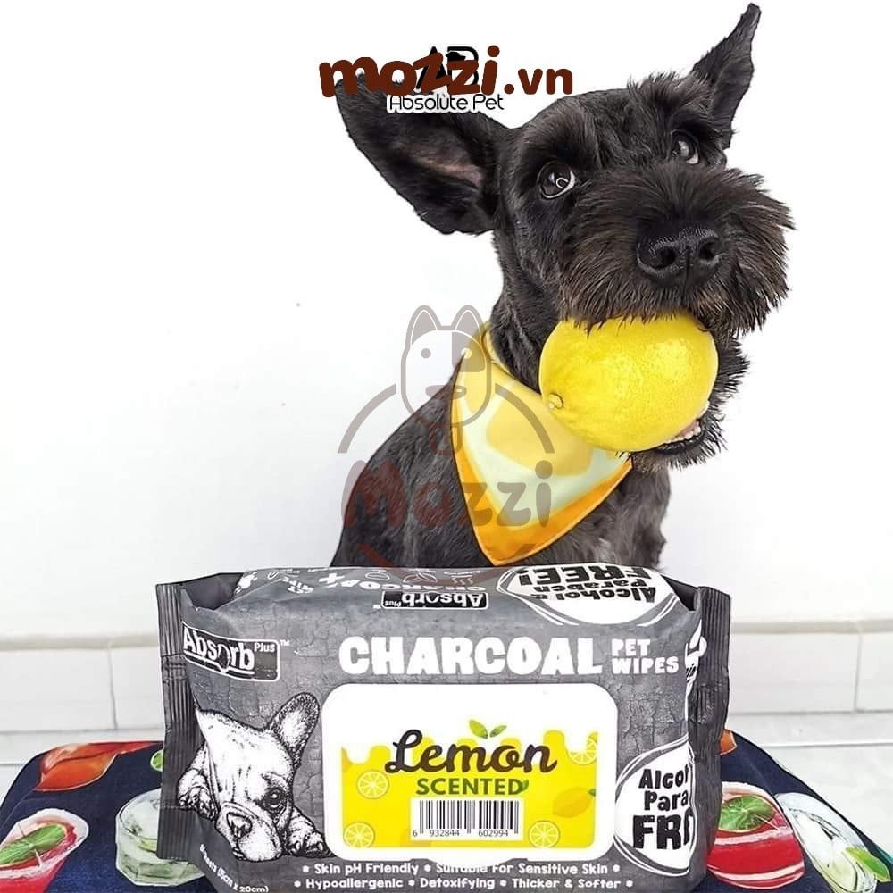 Khăn ướt cho chó mèo Kháng khuẩn than hoạt tính Absorb Charcoal Absolute