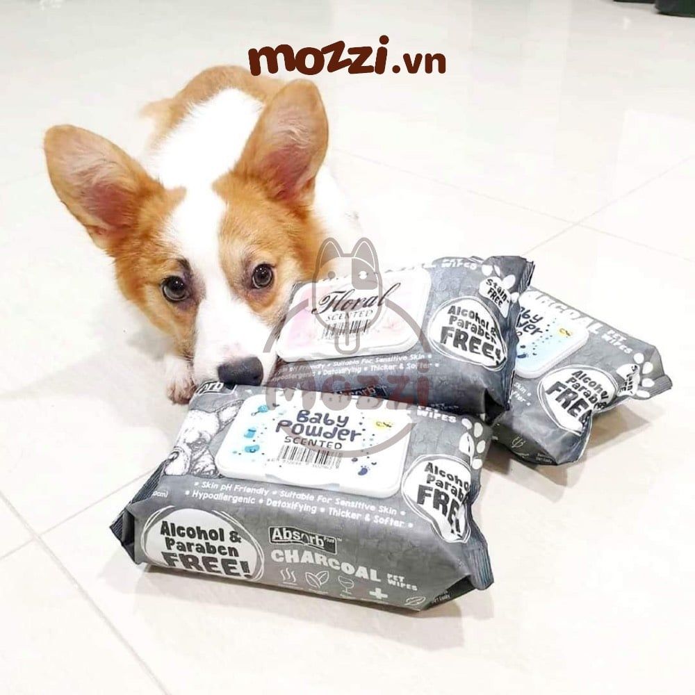 Khăn ướt cho chó mèo Kháng khuẩn than hoạt tính Absorb Charcoal Absolute