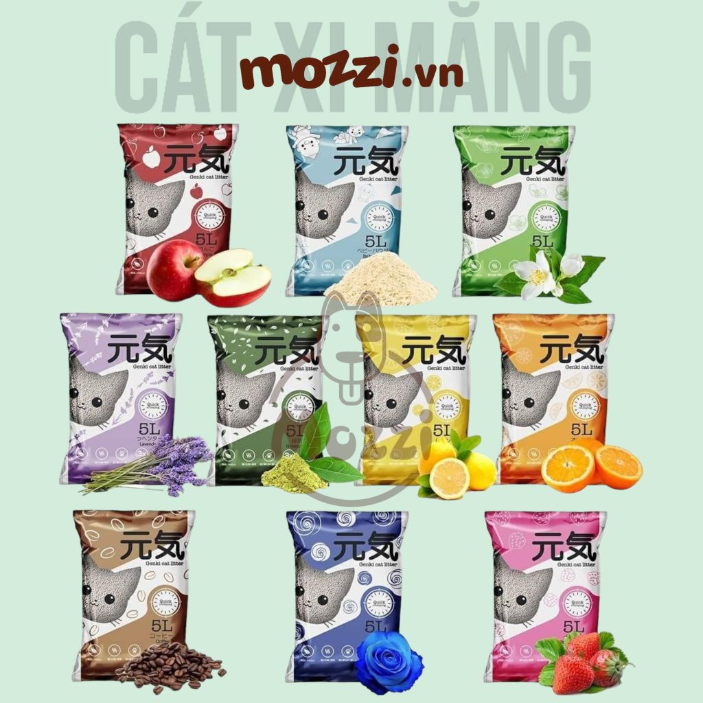 [5L] Genki Cát vệ sinh xi măng cho mèo