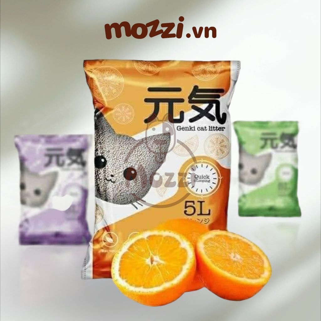 [5L] Genki Cát vệ sinh xi măng cho mèo