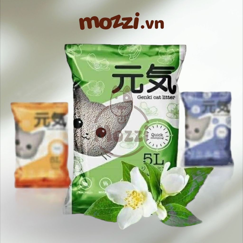 [5L] Genki Cát vệ sinh xi măng cho mèo