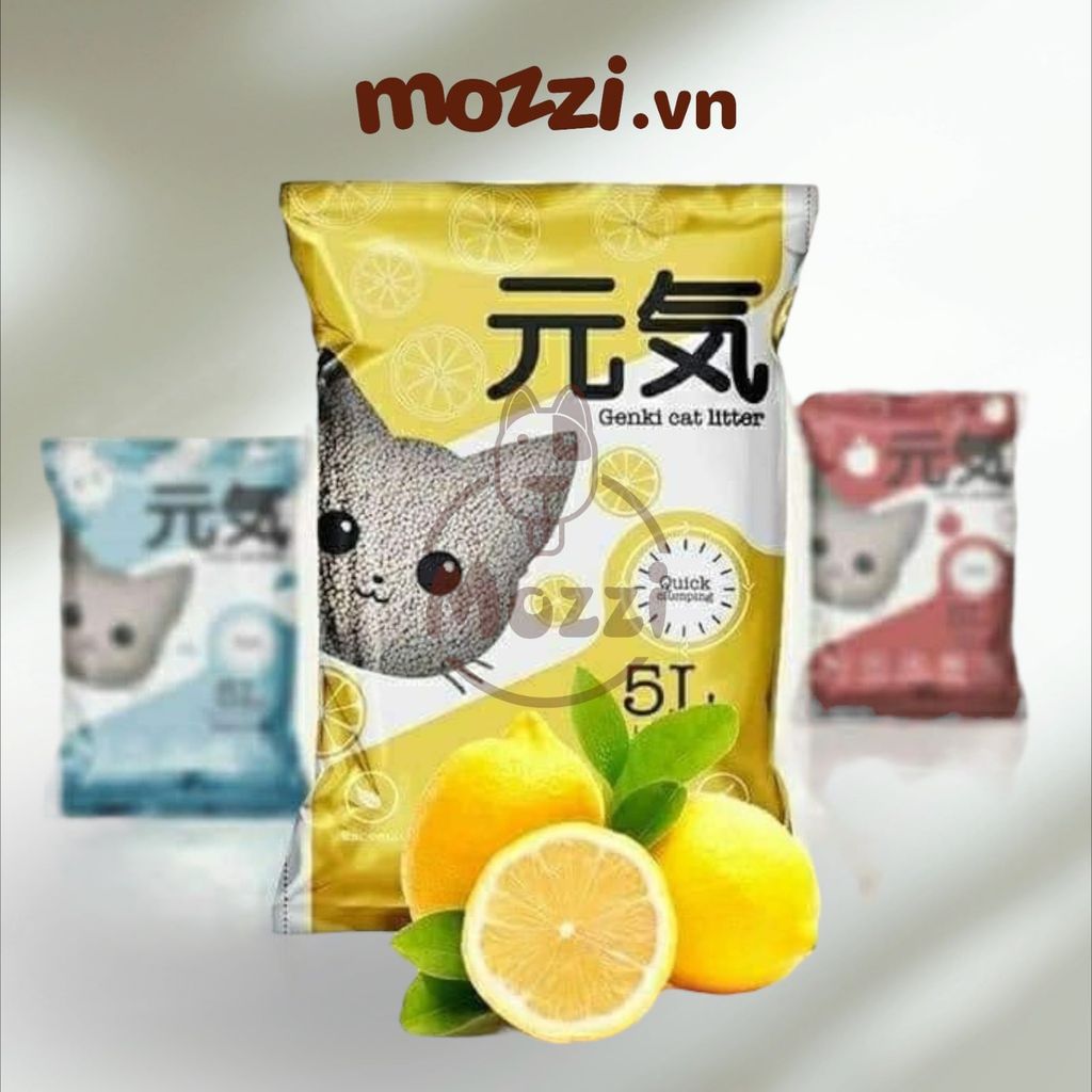 [5L] Genki Cát vệ sinh xi măng cho mèo