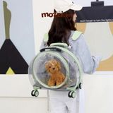  Vali kéo hình bàn chân trong suốt 43x26x40cm cho chó mèo 
