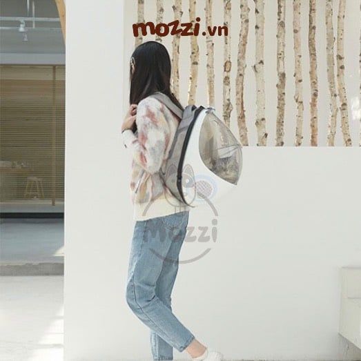 Ba lô kèm Ổ nệm hình con bọ cho chó mèo 37x29x46cm