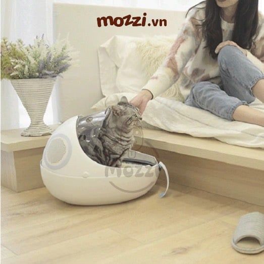 Ba lô kèm Ổ nệm hình con bọ cho chó mèo 37x29x46cm