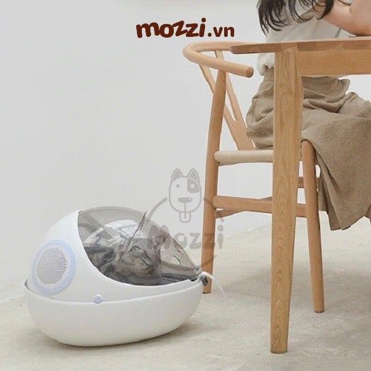 Ba lô kèm Ổ nệm hình con bọ cho chó mèo 37x29x46cm