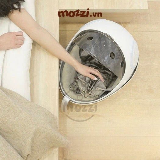 Ba lô kèm Ổ nệm hình con bọ cho chó mèo 37x29x46cm