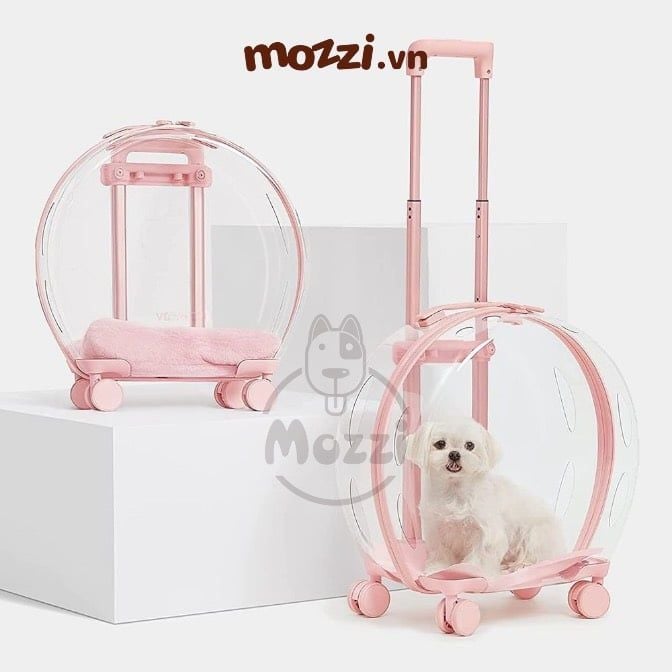 Vali kéo đựng chó mèo trong suốt lớn hình oval