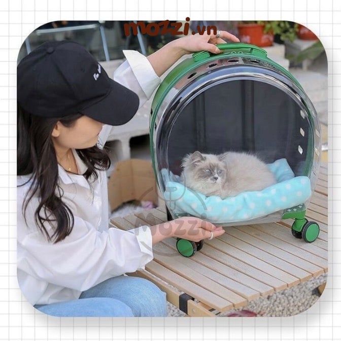 Vali kéo đựng chó mèo trong suốt lớn hình oval
