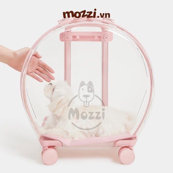 Vali kéo đựng chó mèo trong suốt lớn hình oval