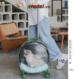  Vali kéo đựng chó mèo trong suốt lớn hình oval 