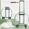 Vali kéo đựng chó mèo trong suốt lớn hình oval