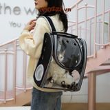  Balo Túi đựng chó mèo Trong suốt mặt kính dẻo 31x21x40cm - Ba lô 