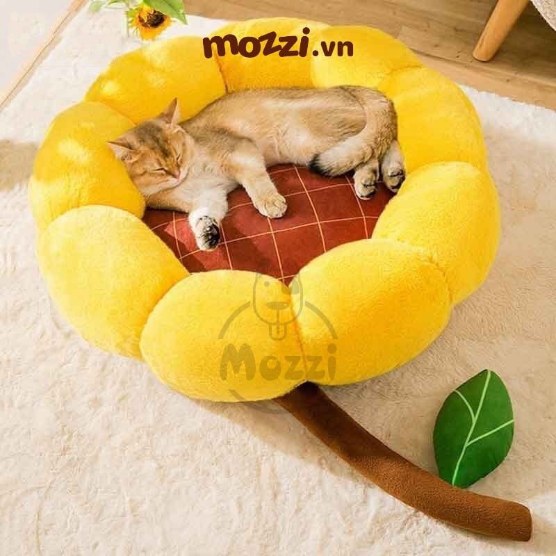 Ổ nệm tròn hình hoa đuôi mèo