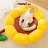 Ổ nệm tròn hình hoa đuôi mèo