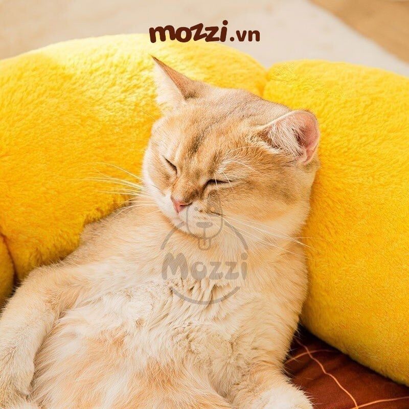 Ổ nệm tròn hình hoa đuôi mèo