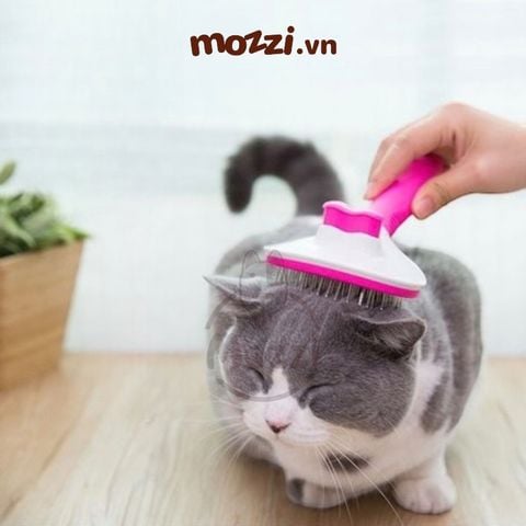  Lược chải lông chó mèo massage có nút bấm tự loại bỏ lông cao cấp 