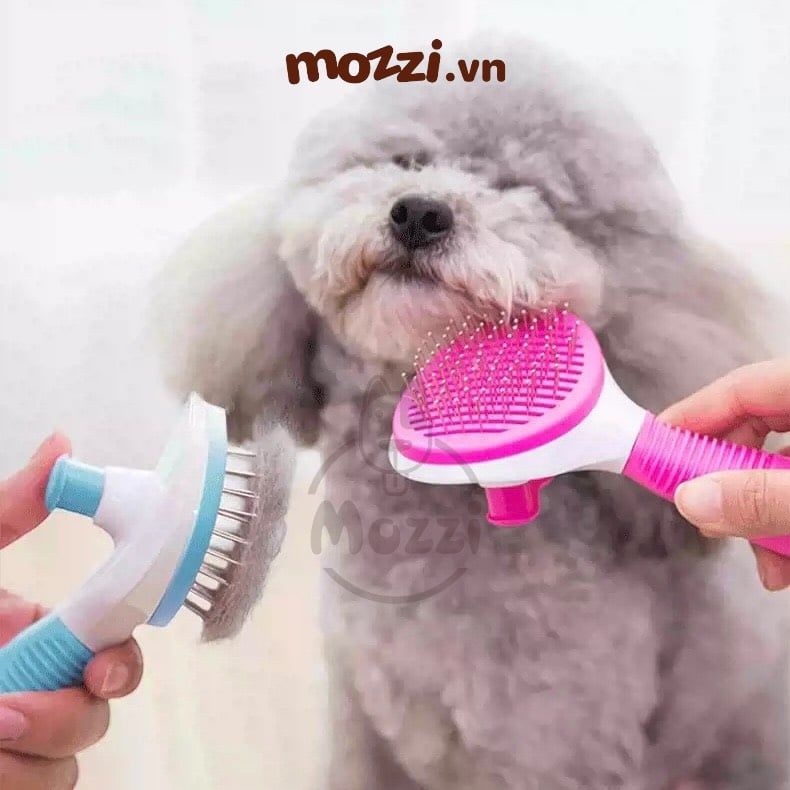 Lược chải lông chó mèo massage có nút bấm tự loại bỏ lông cao cấp